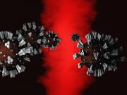 Mace chief executive is in self-isolation after his wife shows symptoms Mace chief executive is in self-isolation after his wife shows symptoms