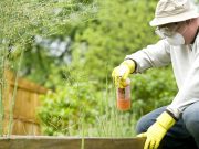 Coronavirus killing spray helps contractors keep their sites safe Coronavirus killing spray helps contractors keep their sites safe