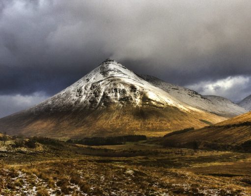 Hanover starts green housing Hanover starts green housing