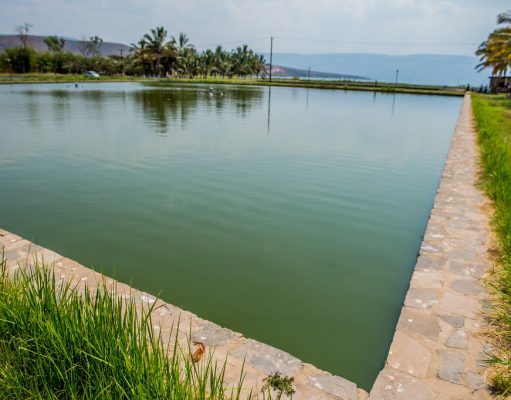 Innovation in construction dealt with water challenge Innovation in construction dealt with water challenge