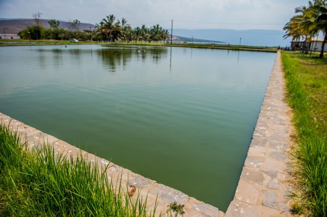 Innovation in construction dealt with water challenge